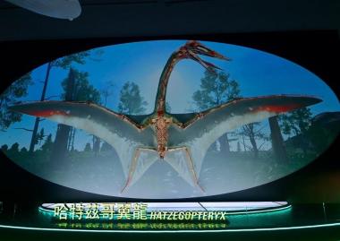 Továbbra is látogatható a  EME paleontológiai gyűjteményének két értékes darabja Hongkongban