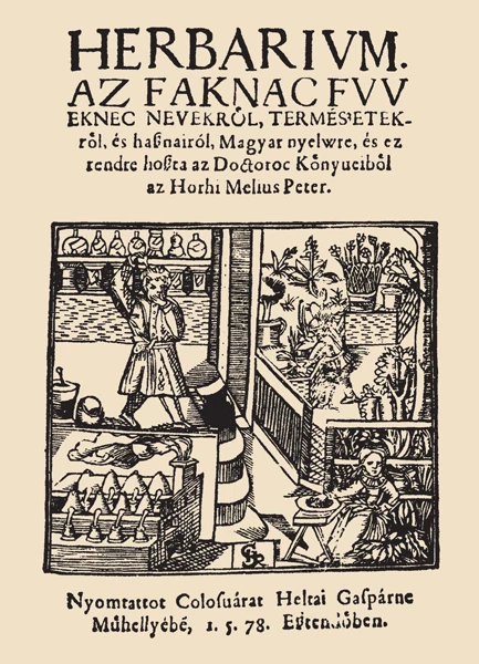 Méliusz Juhász Péter: Herbarium. Az fáknak, füveknek nevekről… Kolozsvár, 1578