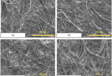 A pásztázó elektronmikroszkópos (SEM) képek a szűrőpapír rostos szerkezetéről különböző kezelési körülmények között (a–d), 500 µm-es méretaránnyal. A mikroszerkezet változásai jól mutatják a szűrőpapír felületének adszorpciós képességét