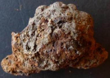 Az EME archeometallurgiai kutatócsoportjának legfrissebb eredménye: ókori vassalakok eredetvizsgálata