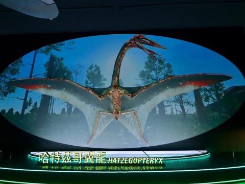 Hongkongban állították ki az Erdélyi Múzeum-Egyesület paleontológiai gyűjteményének két értékes darabját